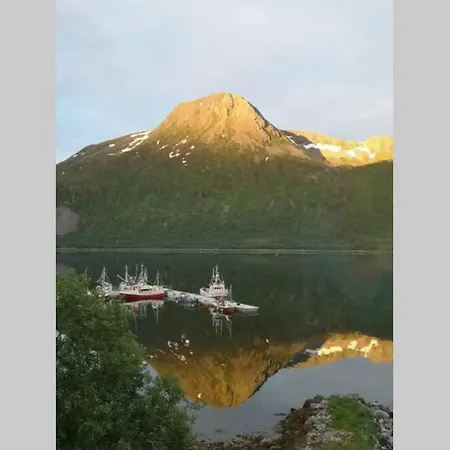 Waterfront Senja 3 アパート Torsken