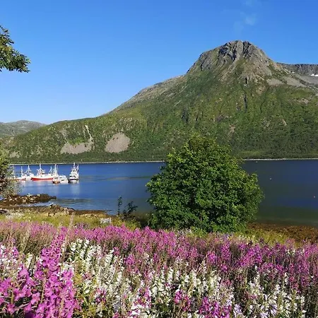 Waterfront Senja 3 * Torsken