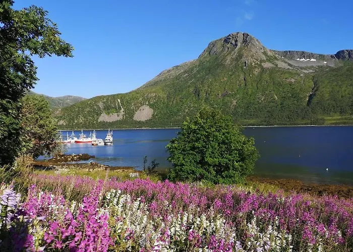 Waterfront Senja 3 * Torsken